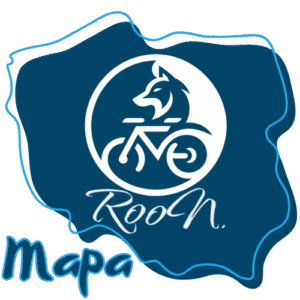 Aplikacja mobilna RooN
