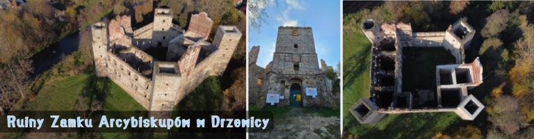 Ruiny Zamku Arcybiskupów w Drzewicy